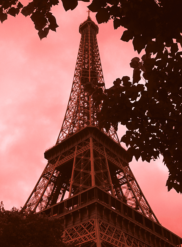Eiffel Pinkish Red