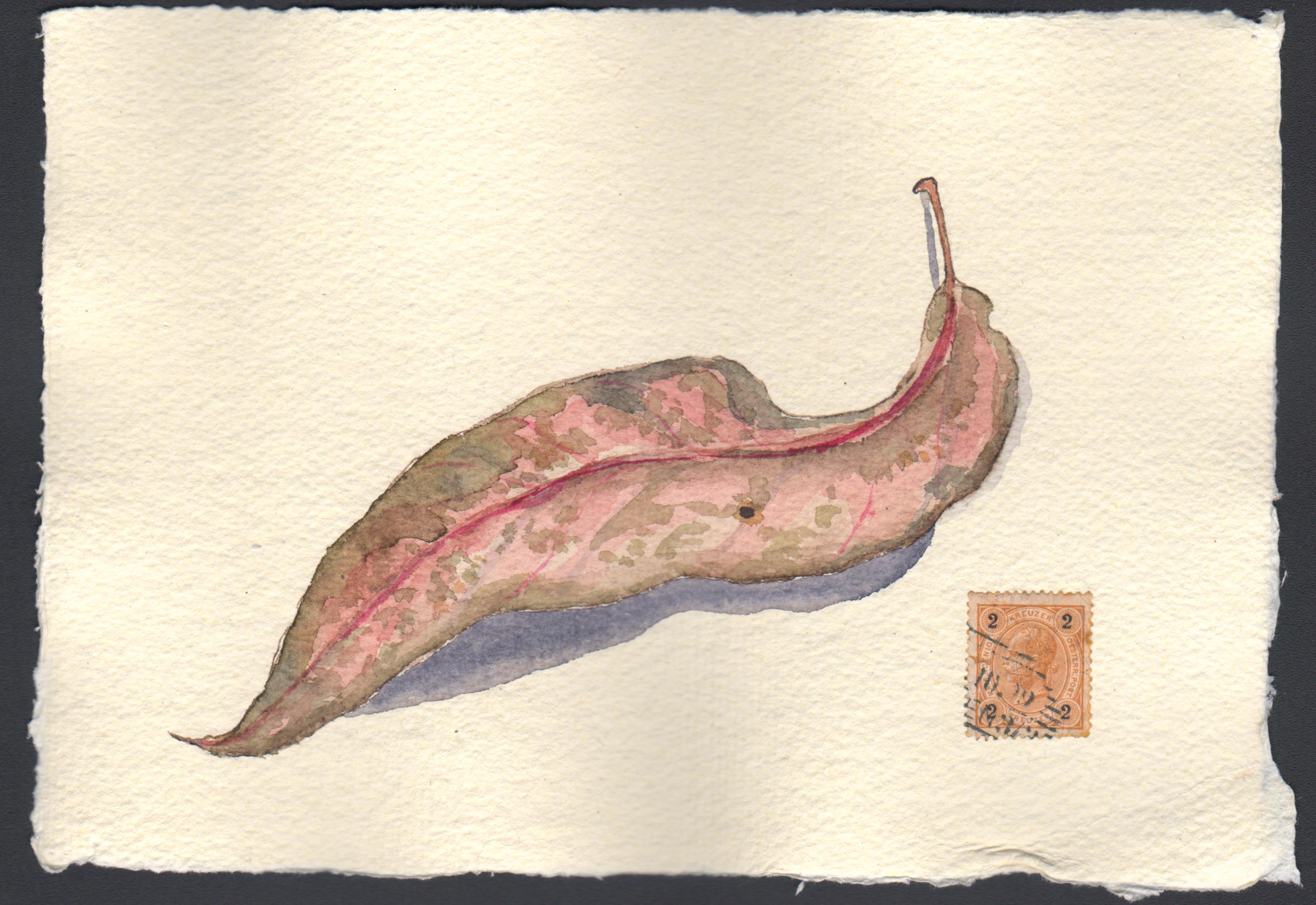 Leaf 022517-1