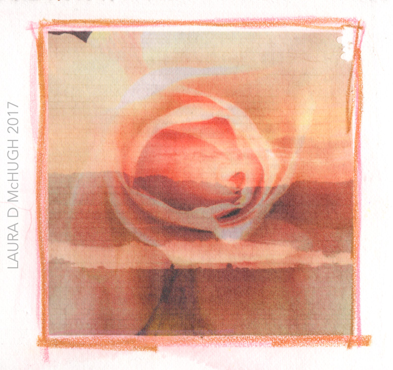 Collage 012717 #80 (1)-3